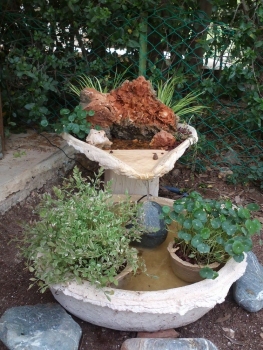 water-feature